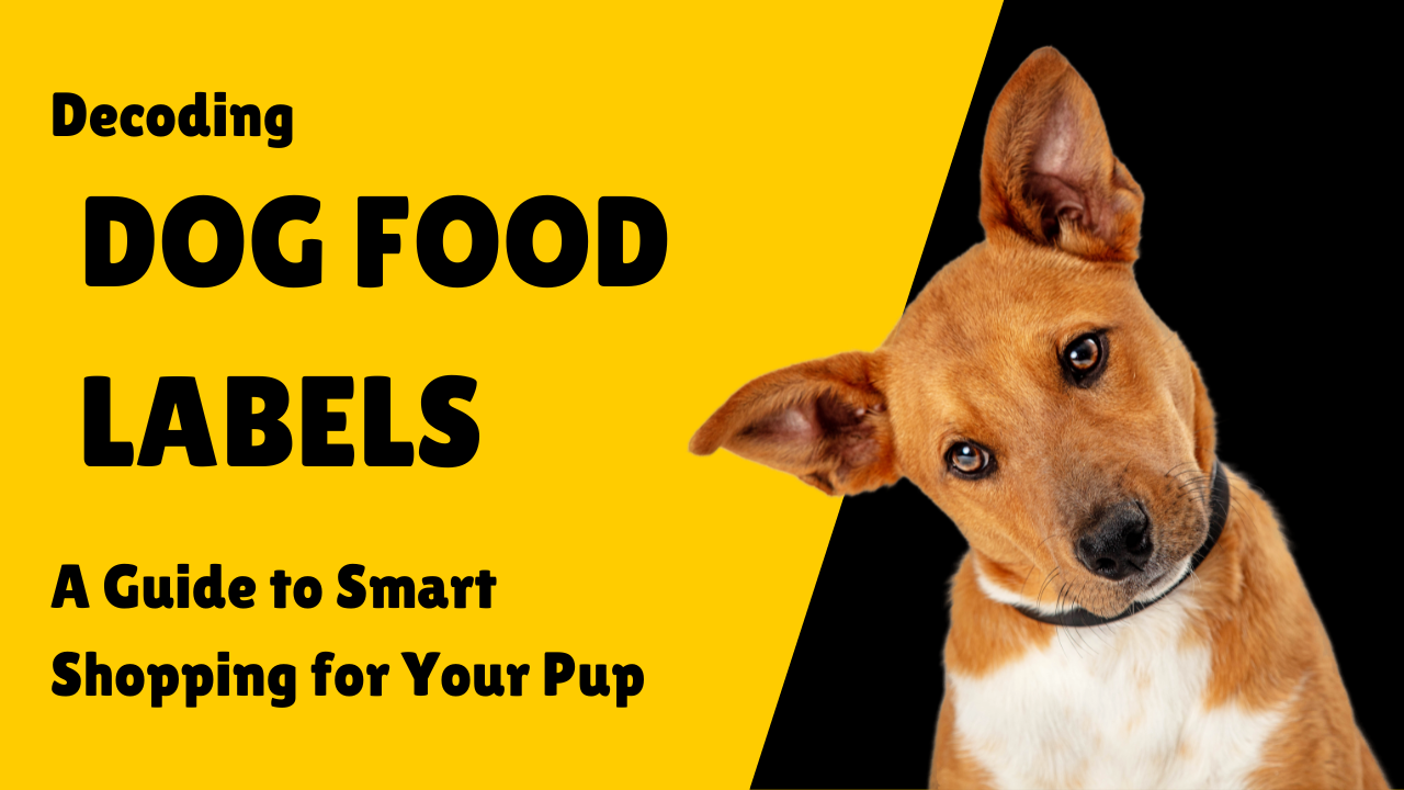 Decoding Dog Food Labels: A Guide to Smart Shopping for Your Pup