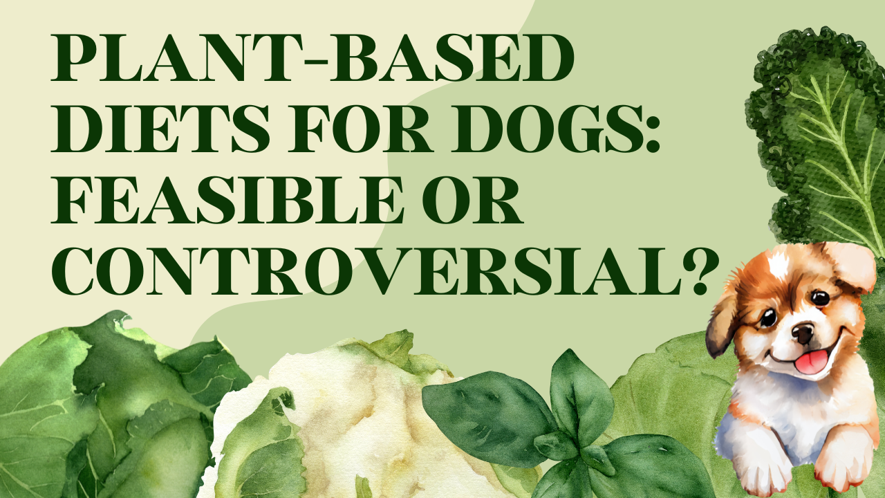 Plant-Based Diets for Dogs: Feasible or Controversial?