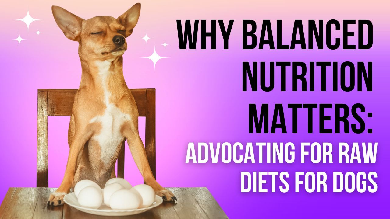 Why Balanced Nutrition Matters: Advocating for Raw Diets for Dogs