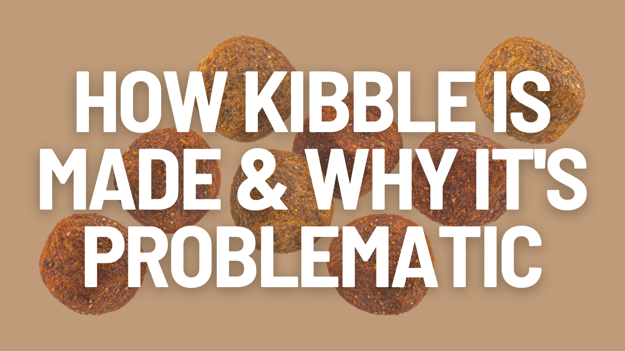 How Kibble Is Made & Why It’s Problematic