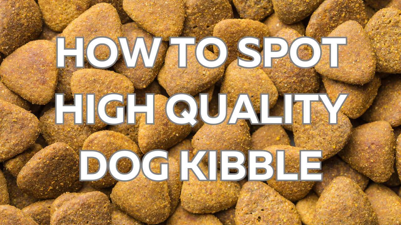 How To Spot High Quality Kibble