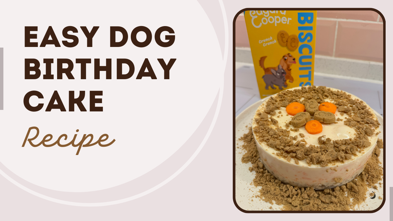 You Have To Try This Easy Dog Birthday Cake Recipe!