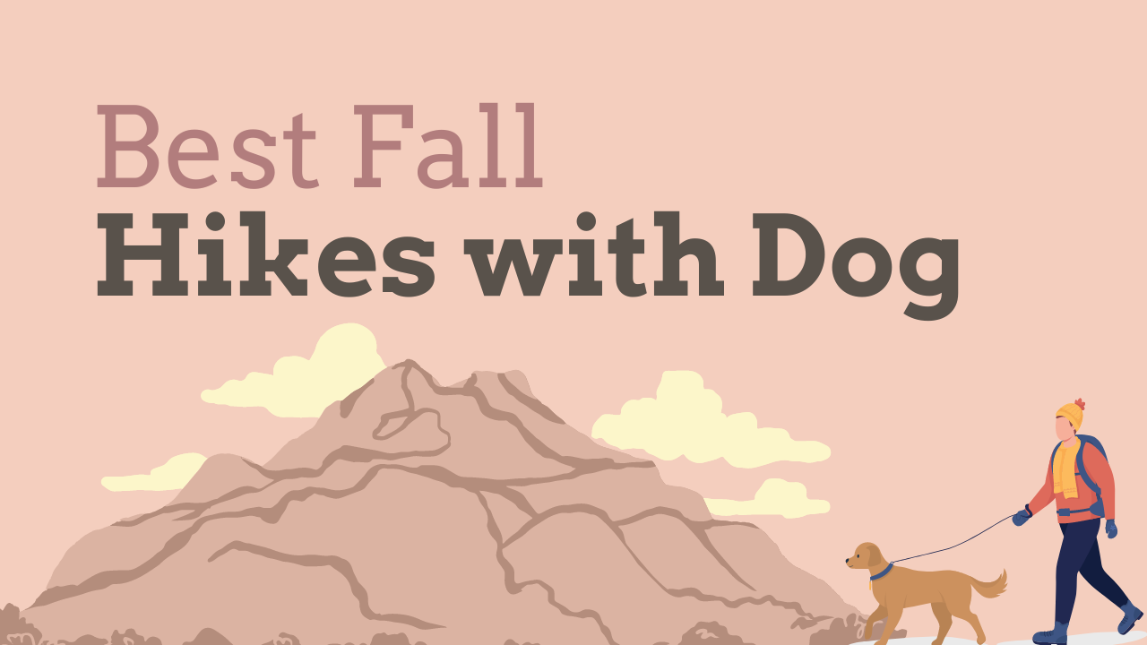 Best Fall Hikes in Europe for You and Your Dog