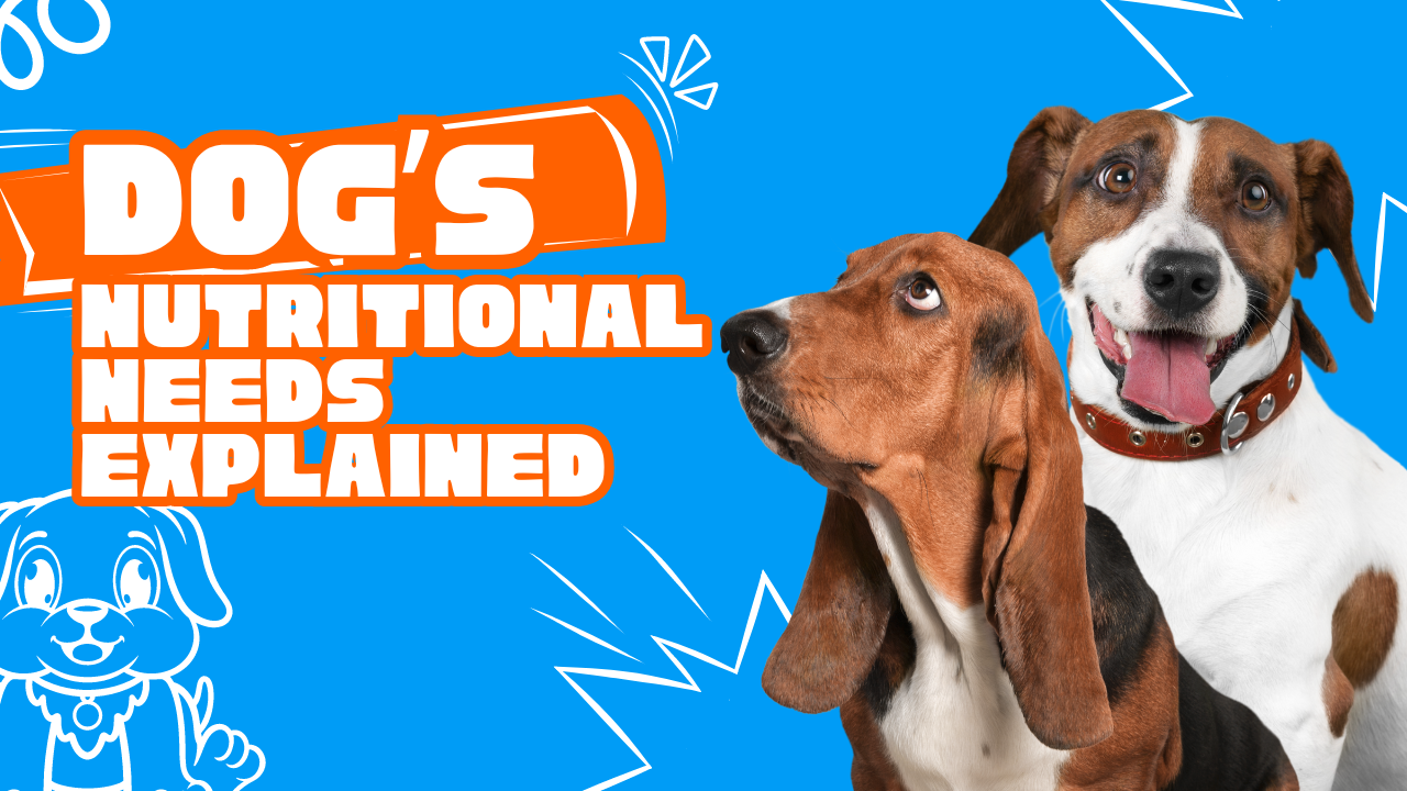 Understanding Your Dog’s Nutritional Needs: A Guide to Keep Your Pup Happy and Healthy