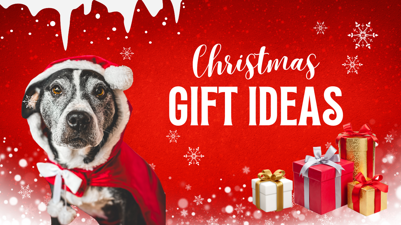 9 Pawsome Christmas Gift Ideas for Dog Lovers & Dogs