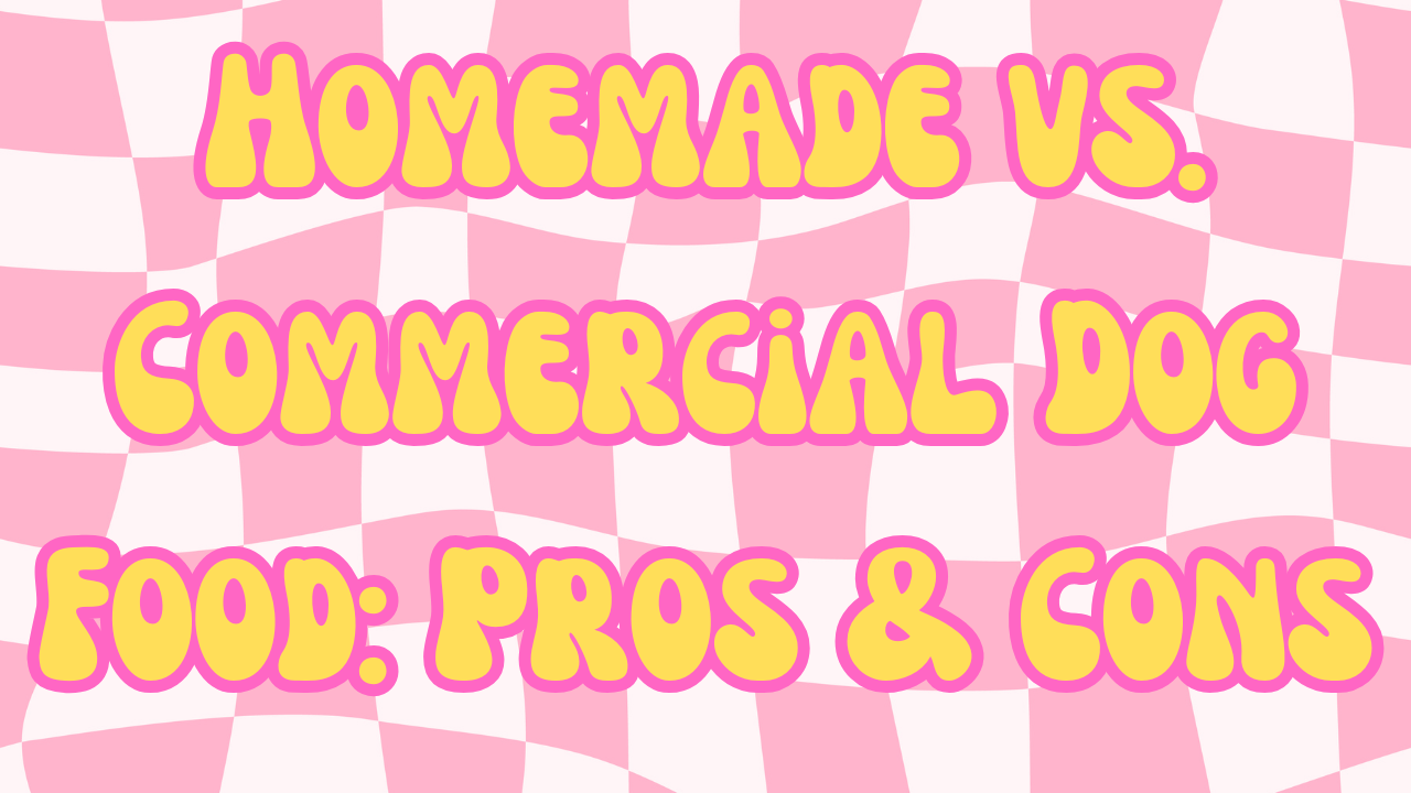 Homemade vs. Commercial Dog Food: Pros and Cons