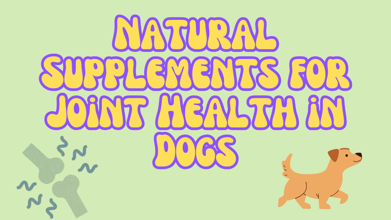 Natural Supplements for Joint Health in Dogs